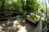 Nome del file=_DSC0407.JPG
Dimensione del file=3692KiB
Dimensioni=3216x2136
Aggiunta il=09 Lug 2009 _DSC0407.JPG