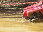 Maremma_Trophy_by_ICE_11.jpg