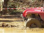 Maremma_Trophy_by_ICE_12.jpg