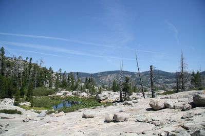 IMG_0296.jpg