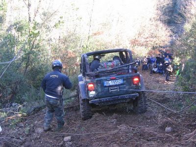 autogatto24.jpg