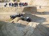 Nome del file=Jeep_Waldzell_333.jpg
Dimensione del file=91KiB
Dimensioni=640x480
Aggiunta il=19 Ott 2006 Jeep_Waldzell_333.jpg