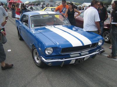 mustang_65-66.jpg