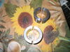 Nome del file=clamps_roll_bar_2.jpg
Dimensione del file=152KiB
Dimensioni=640x480
Aggiunta il=15 Ott 2007 clamps_roll_bar_2.jpg