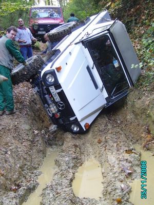 il ribaltino di volpi
