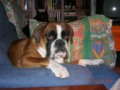 DSCN0614.JPG