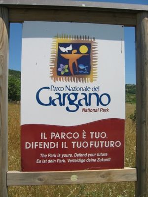 Gargano4.jpg