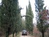 Nome del file=Desenzano37.jpg
Dimensione del file=124KiB
Dimensioni=640x480
Aggiunta il=08 Feb 2009 Desenzano37.jpg