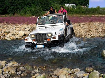 Jeep and Friends
