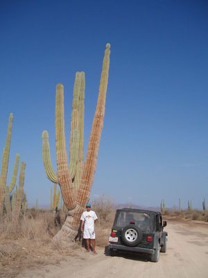 baja_california_286.jpg