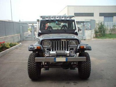 wrangler1.jpg