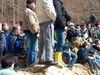 Stancazzi_2006_organizzazione00046.jpg